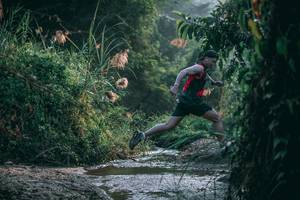 BIB: 
                            <button type="button" onclick="openModal(13716627)" class="btn btn-primary btn-sm float-right btn-popup" data-toggle="modal" data-target=".modal-high-quality">
                        <i class="fas fa-shopping-cart"></i> Add to Cart
                    </button>
                                            <button type="button" onclick="isThisMe(13716627, true)" class="btn btn-success btn-sm float-right btn-popup btn-isme hidden" data-toggle="tooltip" data-placement="bottom" title="นี่คือรูปของคุณใช่ไหม คลิกที่นี่เพื่อเอาเข้าอัลบั้ม">
                        <i class="fas fa-plus"></i> Add to album
                    </button>
                    <button type="button" onclick="isThisMe(13716627, false)" class="btn btn-warning btn-sm float-right btn-popup btn-isnotme hidden">
                        <i class="fas fa-ban"></i> Remove from album
                    </button>